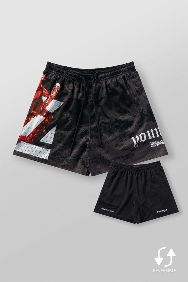 Pantalones cortos de malla AOT